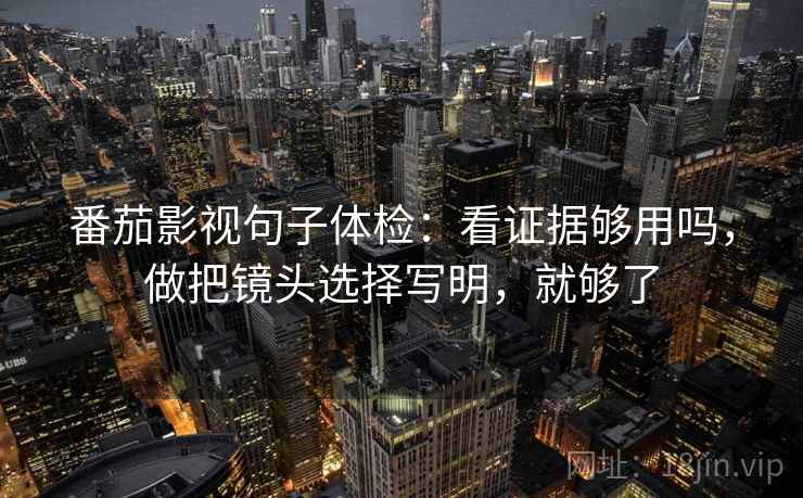 番茄影视句子体检:看证据够用吗,做把镜头选择写明,就够了 第2张 番茄影视句子体检:看证据够用吗,做把镜头选择写明,就够了 第2张